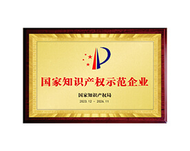 國家知識產(chǎn)權(quán)示范企業(yè)